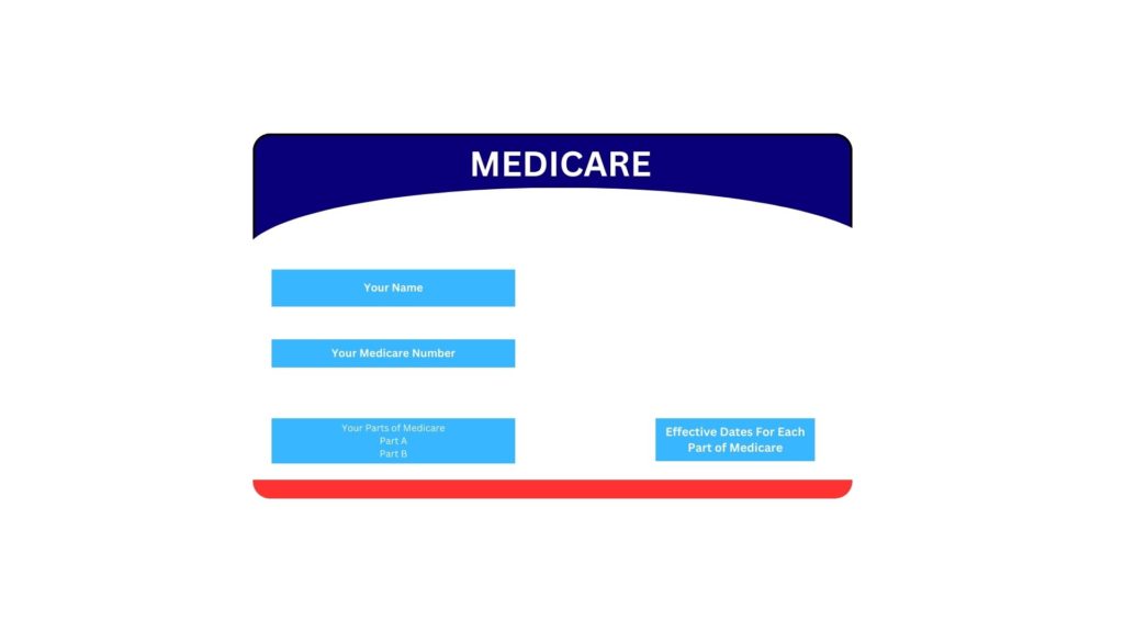 Original or Traditional Medicare